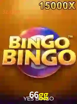 bingobingo